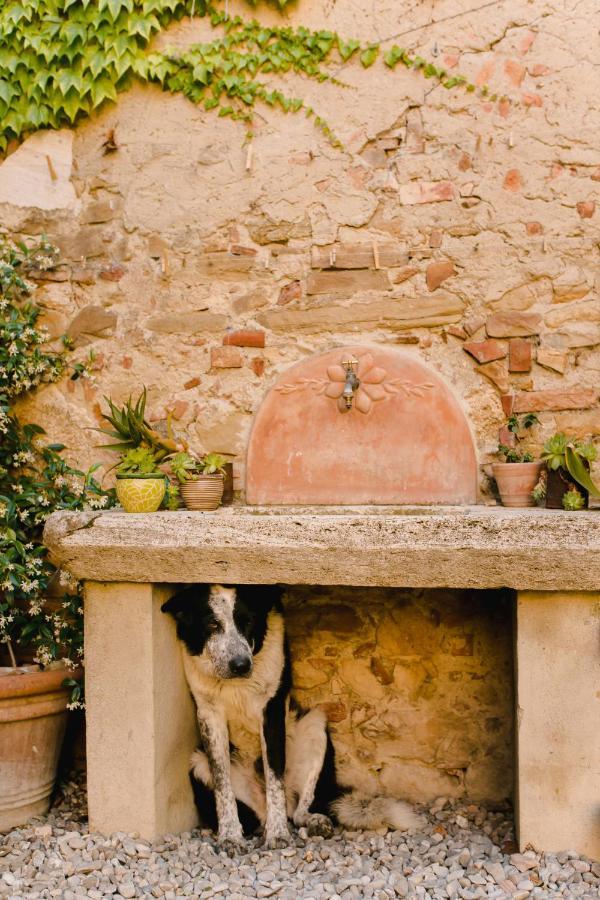 Agriturismo Il Rigo San Quirico dʼOrcia Exterior foto